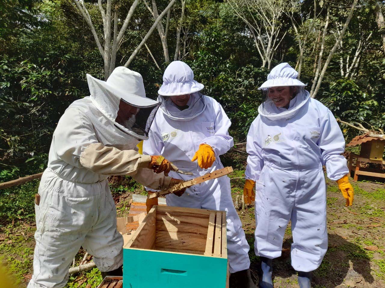 Imkers in Peru geven uitleg over bijen