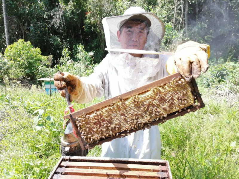 Bijen expert Peru
