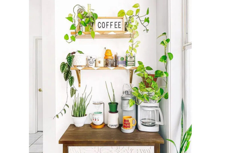 Koffiecorner met verschillende planten