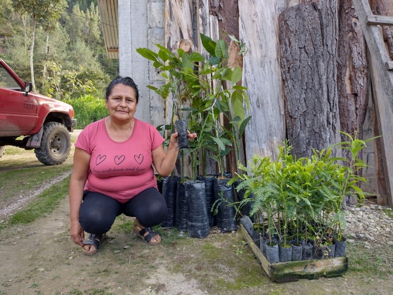 19.000 bomen verduurzamen koffieteelt in Peru