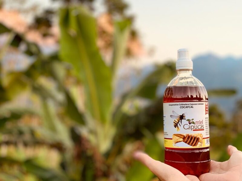 Bijenproject Honduras