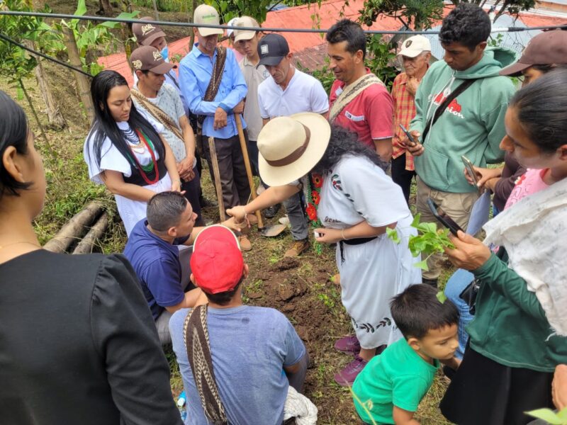 Samen bouwen aan regeneratieve koffie in Colombia