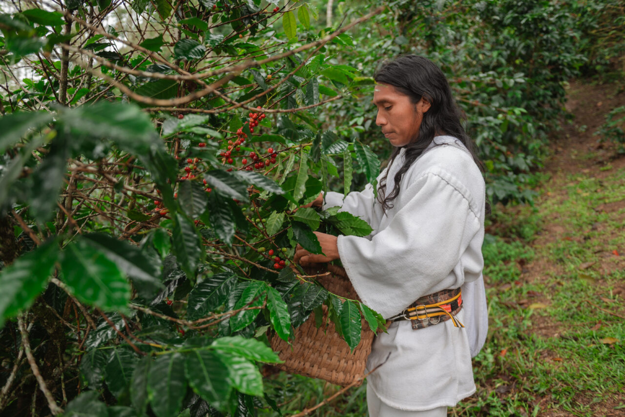 Koffieboer Colombia